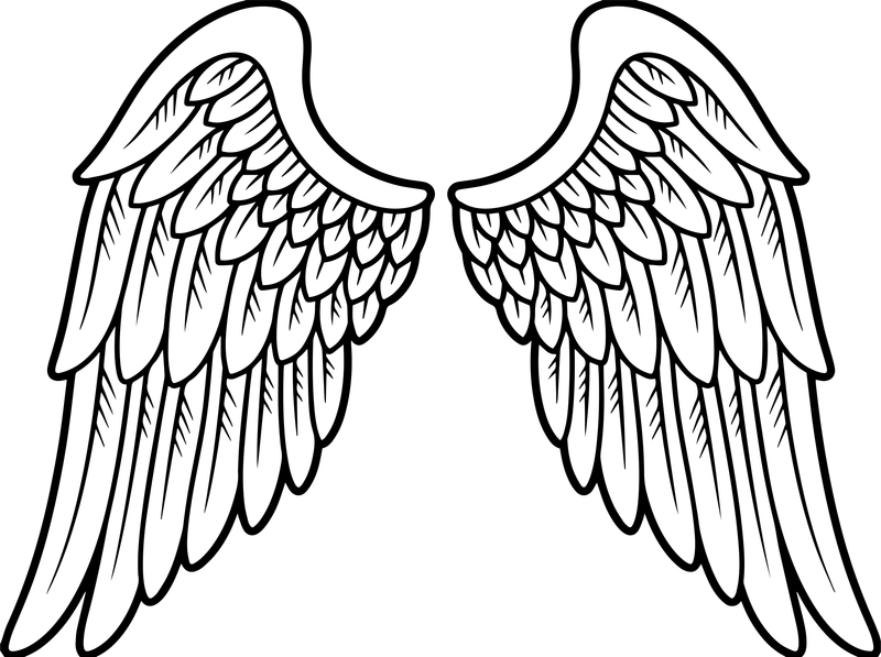 Black line art of a pair of angel wings with layered feathers on a transparent background